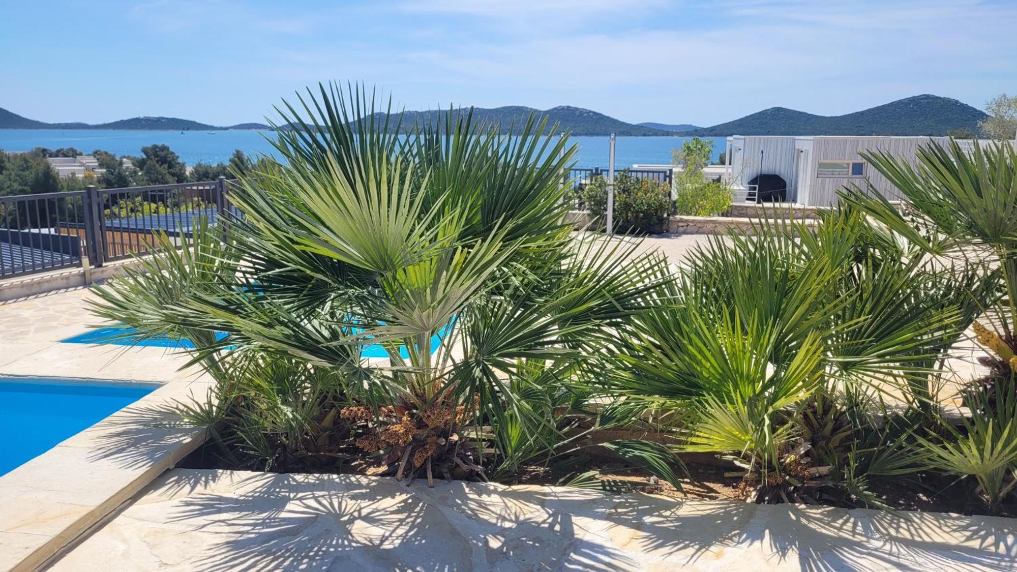 The Sea View With Pool Drage